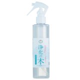 やっぱり、これが一番！　浄化の木