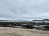 宮崎に出張に行ってきました！