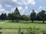 米粉の蒸しパン、よく作っています。