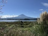 河口湖に行ってきました