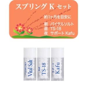 画像1: 【メール便】スプリングKセット単品 (1)