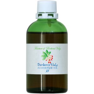 画像2: HJマザーチンクチャー Berb-v. (2)