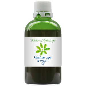 画像2: HJマザーチンクチャー Gali. (2)