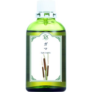 画像2: HJチンクチャー ガマ (2)