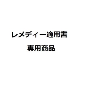 画像1: その他適用書専用商品 (1)