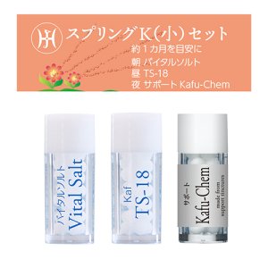 画像1: 【メール便】新スプリングKセット (1)