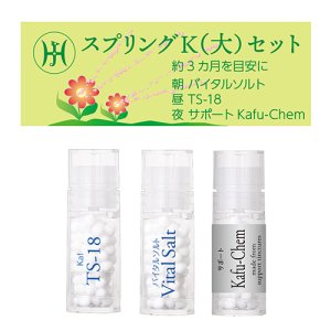 画像1: 【メール便】新スプリングK(大)セット (1)