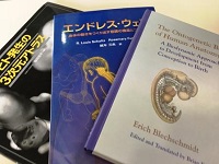 発生学の復習をしてきました