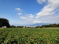 夏痩せした方は要注意！