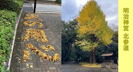 初冬の風景