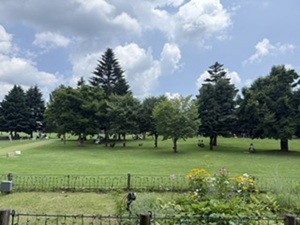 米粉の蒸しパン、よく作っています。